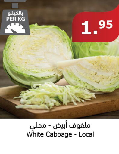  Cabbage  in Al Raya in KSA, Saudi Arabia, Saudi - Jazan