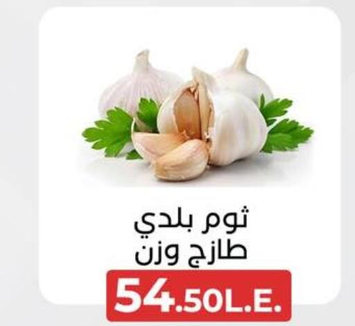 Garlic  in عرفة ماركت in Egypt - القاهرة