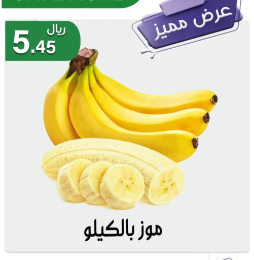  Banana  in Jawharat Almajd in KSA, Saudi Arabia, Saudi - Abha