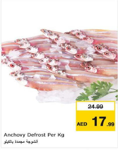  Tuna  in نستو هايبرماركت in الإمارات العربية المتحدة , الامارات - ٱلْعَيْن‎