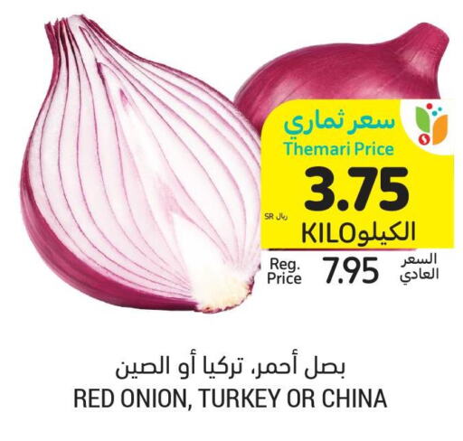  Onion  in Tamimi Market in KSA, Saudi Arabia, Saudi - Unayzah