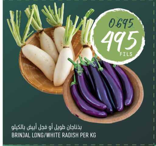  Radish  in Oncost in Kuwait - Jahra Governorate