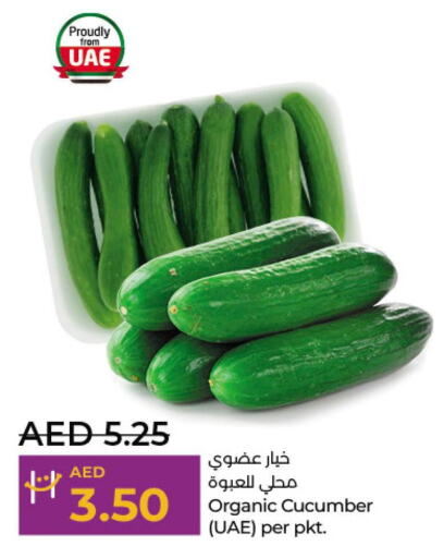  Sweet melon  in Lulu Hypermarket in UAE - Al Ain