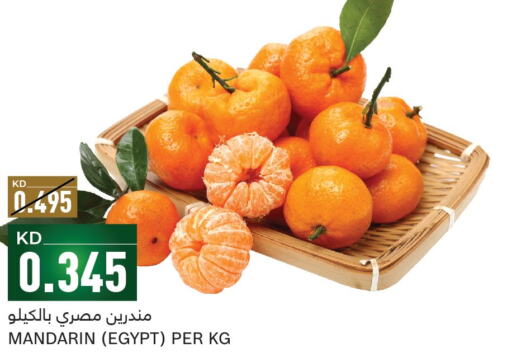  Orange  in Gulfmart in Kuwait - Kuwait City