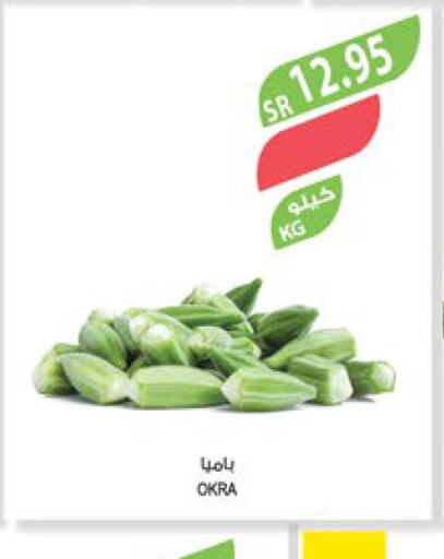  Onion  in المزرعة in مملكة العربية السعودية, السعودية, سعودية - أبها