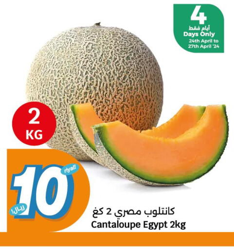  Watermelon  in City Hypermarket in Qatar - Umm Salal