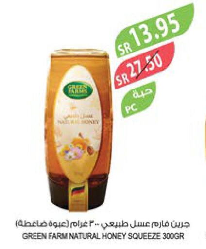  Honey  in المزرعة in مملكة العربية السعودية, السعودية, سعودية - أبها