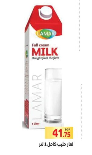  Full Cream Milk  in المحلاوي ماركت in Egypt - القاهرة