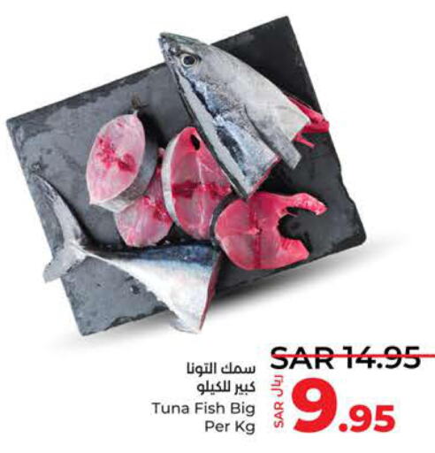  Tuna  in LULU Hypermarket in KSA, Saudi Arabia, Saudi - Jeddah