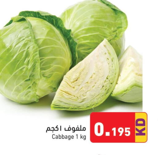  Cabbage  in Ramez in Kuwait - Kuwait City