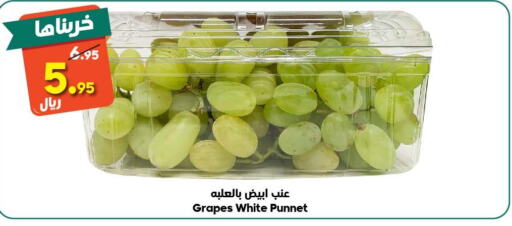  Grapes  in Dukan in KSA, Saudi Arabia, Saudi - Mecca