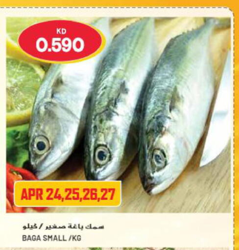  Tuna  in جراند هايبر in الكويت - محافظة الأحمدي