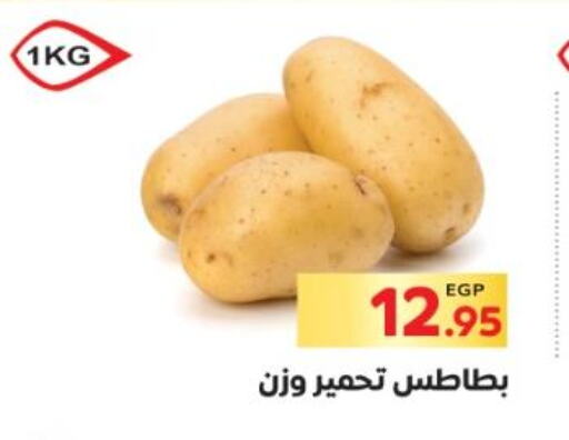  Potato  in El Mahallawy Market  in Egypt - Cairo