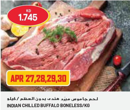  Buffalo  in Grand Costo in Kuwait - Kuwait City