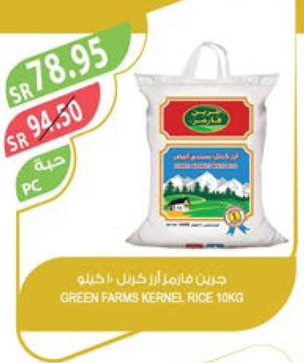  Basmati Rice  in Farm  in KSA, Saudi Arabia, Saudi - Arar