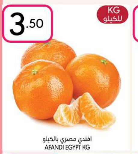  Orange  in Manuel Market in KSA, Saudi Arabia, Saudi - Riyadh