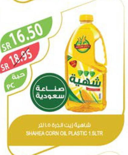  Corn Oil  in Farm  in KSA, Saudi Arabia, Saudi - Al Bahah
