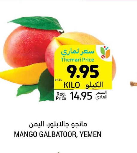 Mango   in Tamimi Market in KSA, Saudi Arabia, Saudi - Ar Rass