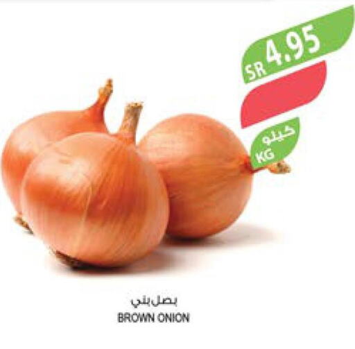  Onion  in Farm  in KSA, Saudi Arabia, Saudi - Tabuk