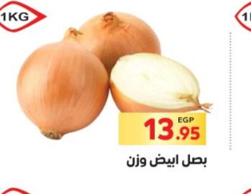  Onion  in El Mahallawy Market  in Egypt - Cairo