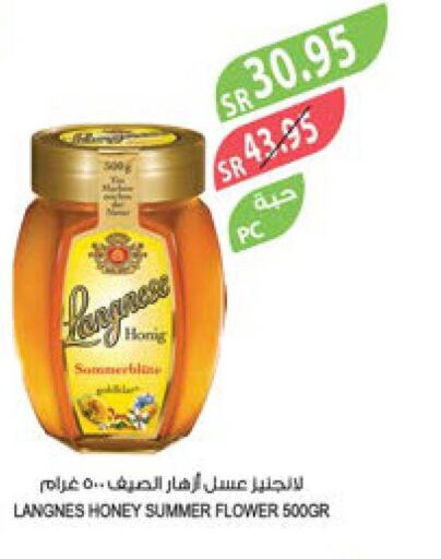  Honey  in Farm  in KSA, Saudi Arabia, Saudi - Al Khobar