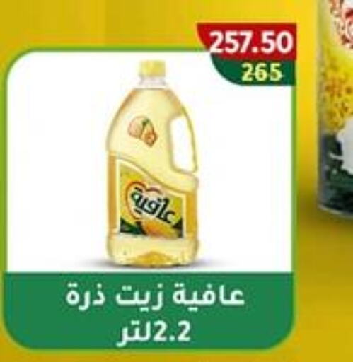 AFIA Corn Oil  in Wekalet Elmansoura - Dakahlia  in Egypt - Cairo