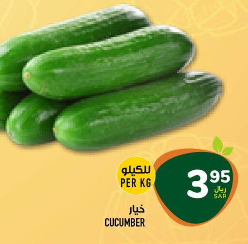  Cucumber  in Abraj Hypermarket in KSA, Saudi Arabia, Saudi - Mecca
