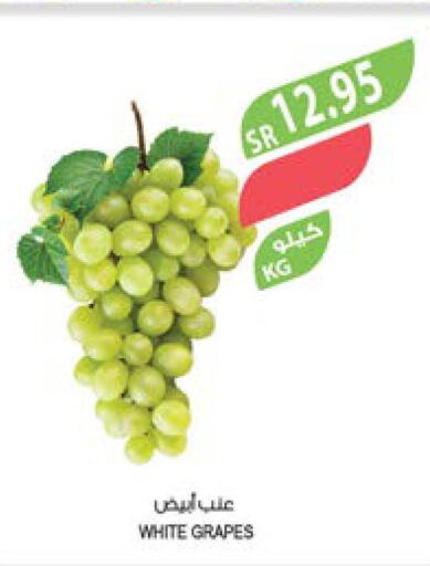  Grapes  in المزرعة in مملكة العربية السعودية, السعودية, سعودية - الأحساء‎