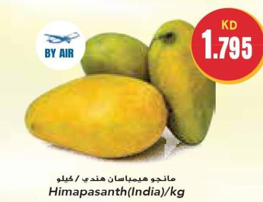 Mango   in Grand Costo in Kuwait - Ahmadi Governorate