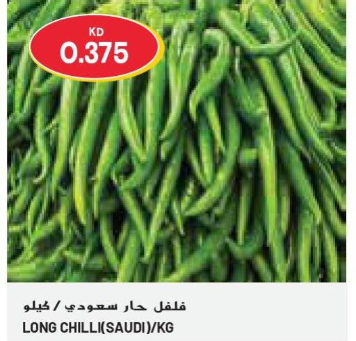 Chilli / Capsicum  in جراند كوستو in الكويت - محافظة الأحمدي