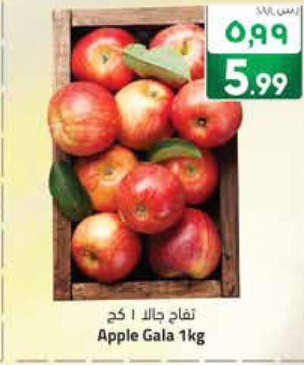  Apples  in ستي فلاور in مملكة العربية السعودية, السعودية, سعودية - الرياض