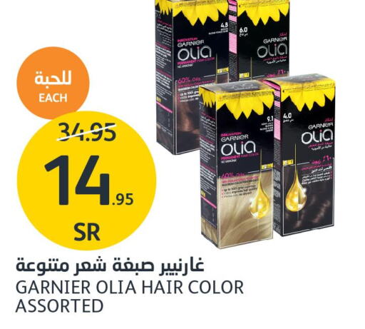 GARNIER Hair Colour  in AlJazera Shopping Center in KSA, Saudi Arabia, Saudi - Riyadh