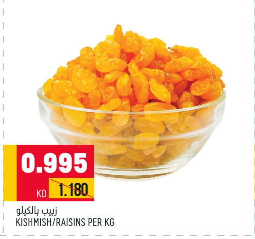 Mango   in أونكوست in الكويت - مدينة الكويت
