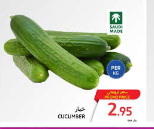  Cucumber  in كارفور in مملكة العربية السعودية, السعودية, سعودية - المدينة المنورة