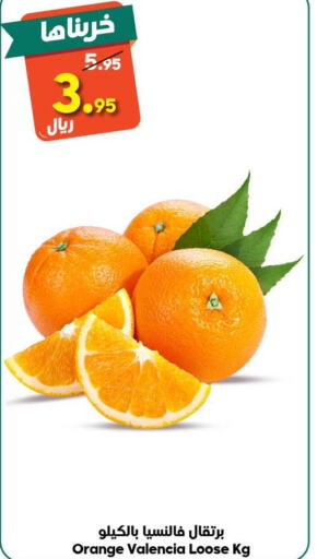  Orange  in Dukan in KSA, Saudi Arabia, Saudi - Ta'if