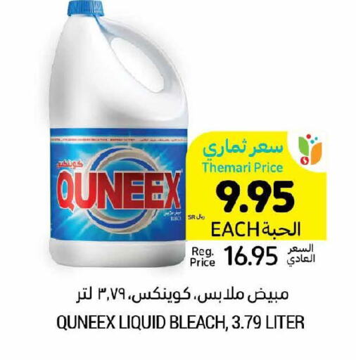 QUEENEX Bleach  in Tamimi Market in KSA, Saudi Arabia, Saudi - Unayzah