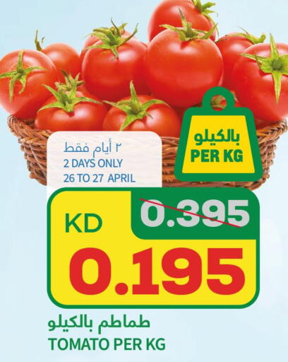  Tomato  in أونكوست in الكويت - محافظة الجهراء