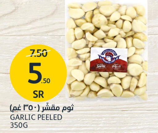  Garlic  in AlJazera Shopping Center in KSA, Saudi Arabia, Saudi - Riyadh