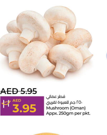  Mushroom  in Lulu Hypermarket in UAE - Al Ain