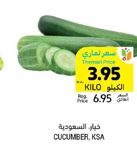  Cucumber  in Tamimi Market in KSA, Saudi Arabia, Saudi - Abha