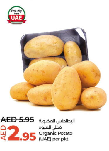  Potato  in Lulu Hypermarket in UAE - Al Ain