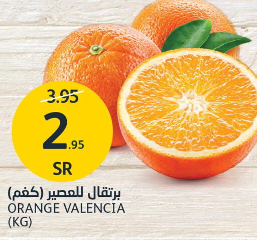  Orange  in AlJazera Shopping Center in KSA, Saudi Arabia, Saudi - Riyadh