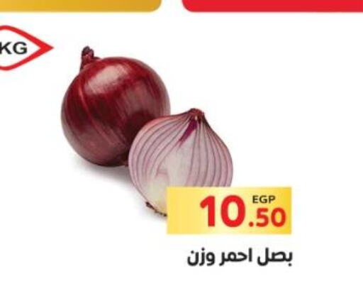  Onion  in El Mahallawy Market  in Egypt - Cairo