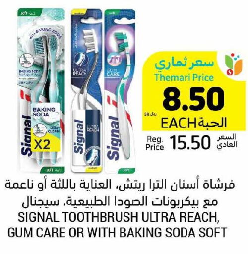 SIGNAL Toothbrush  in Tamimi Market in KSA, Saudi Arabia, Saudi - Dammam