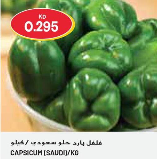  Chilli / Capsicum  in جراند كوستو in الكويت - مدينة الكويت