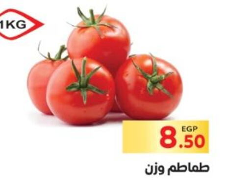  Tomato  in El Mahallawy Market  in Egypt - Cairo
