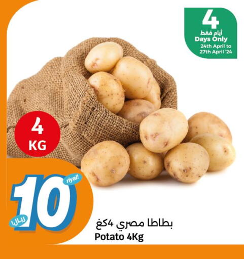  Potato  in سيتي هايبرماركت in قطر - الشمال