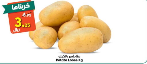  Potato  in Dukan in KSA, Saudi Arabia, Saudi - Ta'if