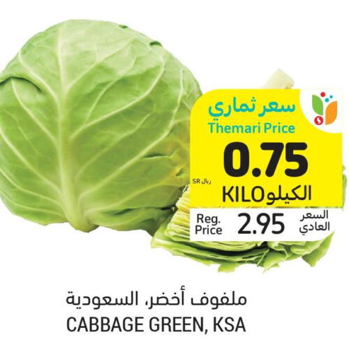  Cabbage  in Tamimi Market in KSA, Saudi Arabia, Saudi - Unayzah