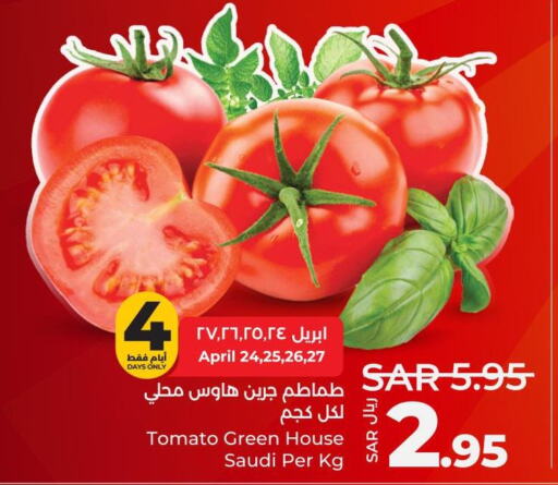  Tomato  in LULU Hypermarket in KSA, Saudi Arabia, Saudi - Dammam